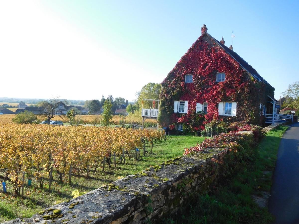 La Passerelle Des Corton B&B Aloxe-Corton Экстерьер фото