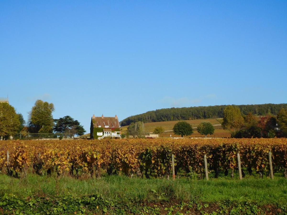 La Passerelle Des Corton B&B Aloxe-Corton Экстерьер фото